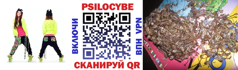 OMG зеркало  Темников  Псилоцибиновые грибы Psilocybe  купить наркотик 